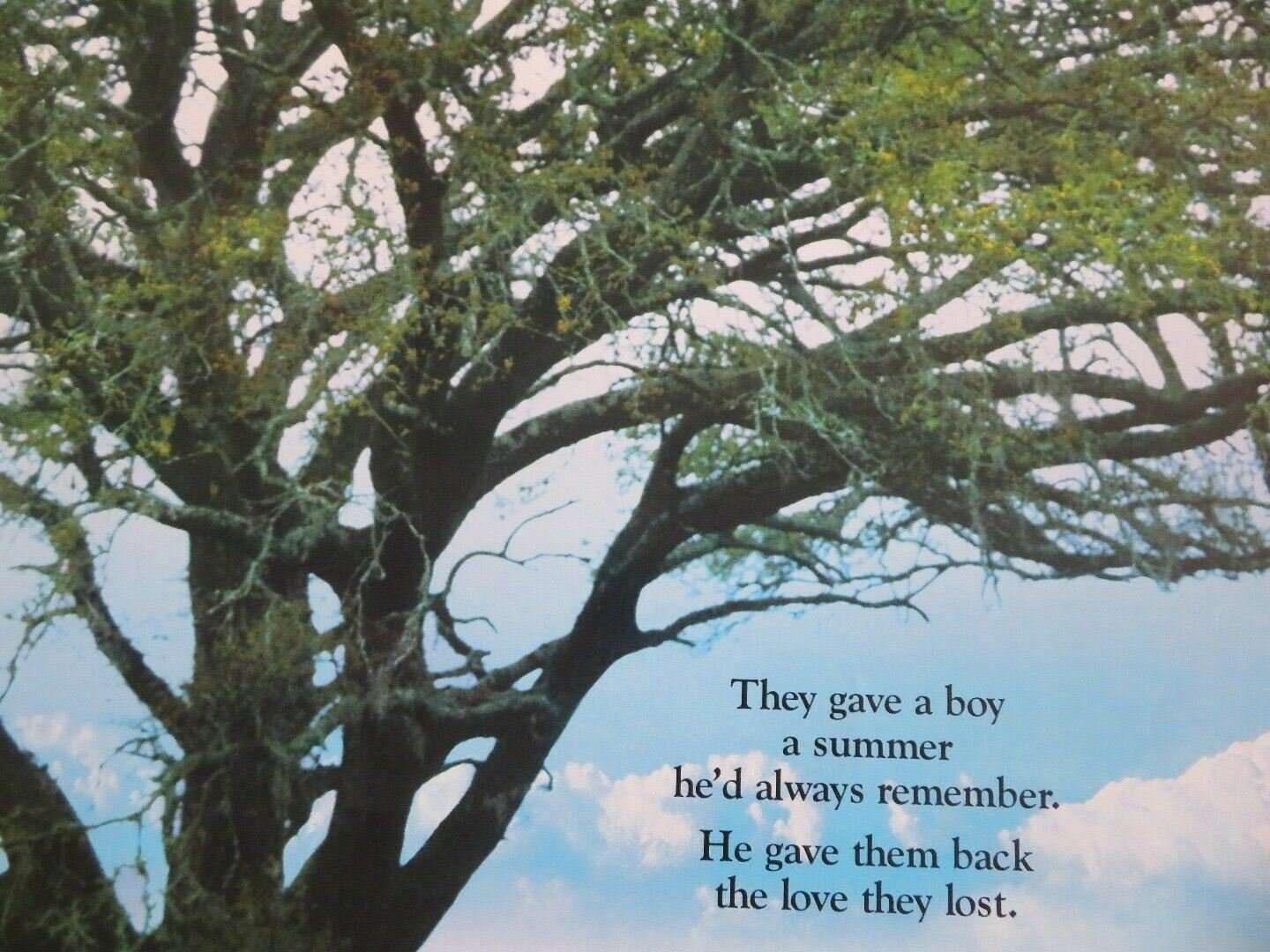 PARADISE ONE SHEET ROLLED POSTER DON JOHNSON MELANIE GRIFFITH 1991 Movie posters