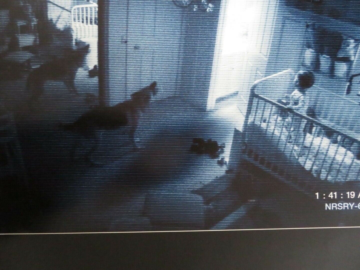 PARANORMAL ACTIVITY 2 US ONE SHEET ROLLED POSTER TOD WILLIAMS 2010 Movie posters