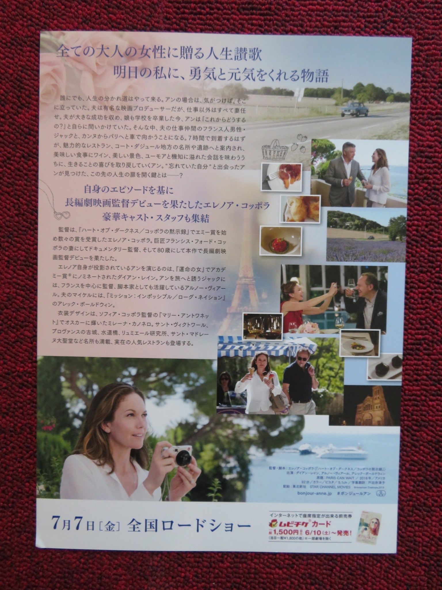 PARIS CAN WAIT JAPANESE CHIRASHI (B5) POSTER DIANE LANE ARNAUD VIARD 2016 Rendezvous Cinema Movie posters