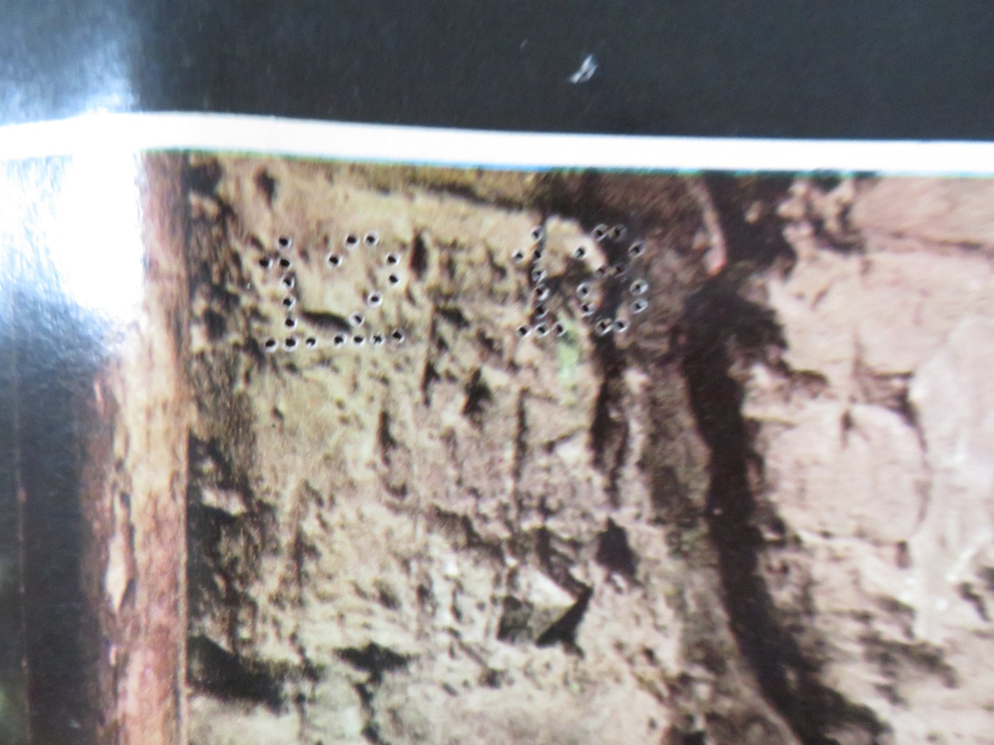 PAT GARRETT AND BILLY THE KID - B ITALIAN FOTOBUSTA POSTER JAMES COBURN 1973 Rendezvous Cinema Movie posters