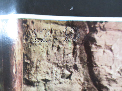 PAT GARRETT AND BILLY THE KID - B ITALIAN FOTOBUSTA POSTER JAMES COBURN 1973 Rendezvous Cinema Movie posters