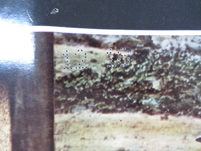 PAT GARRETT AND BILLY THE KID - C ITALIAN FOTOBUSTA POSTER JAMES COBURN 1973 Rendezvous Cinema Movie posters