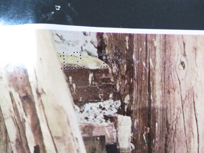 PAT GARRETT AND BILLY THE KID - E ITALIAN FOTOBUSTA POSTER JAMES COBURN 1973 Rendezvous Cinema Movie posters