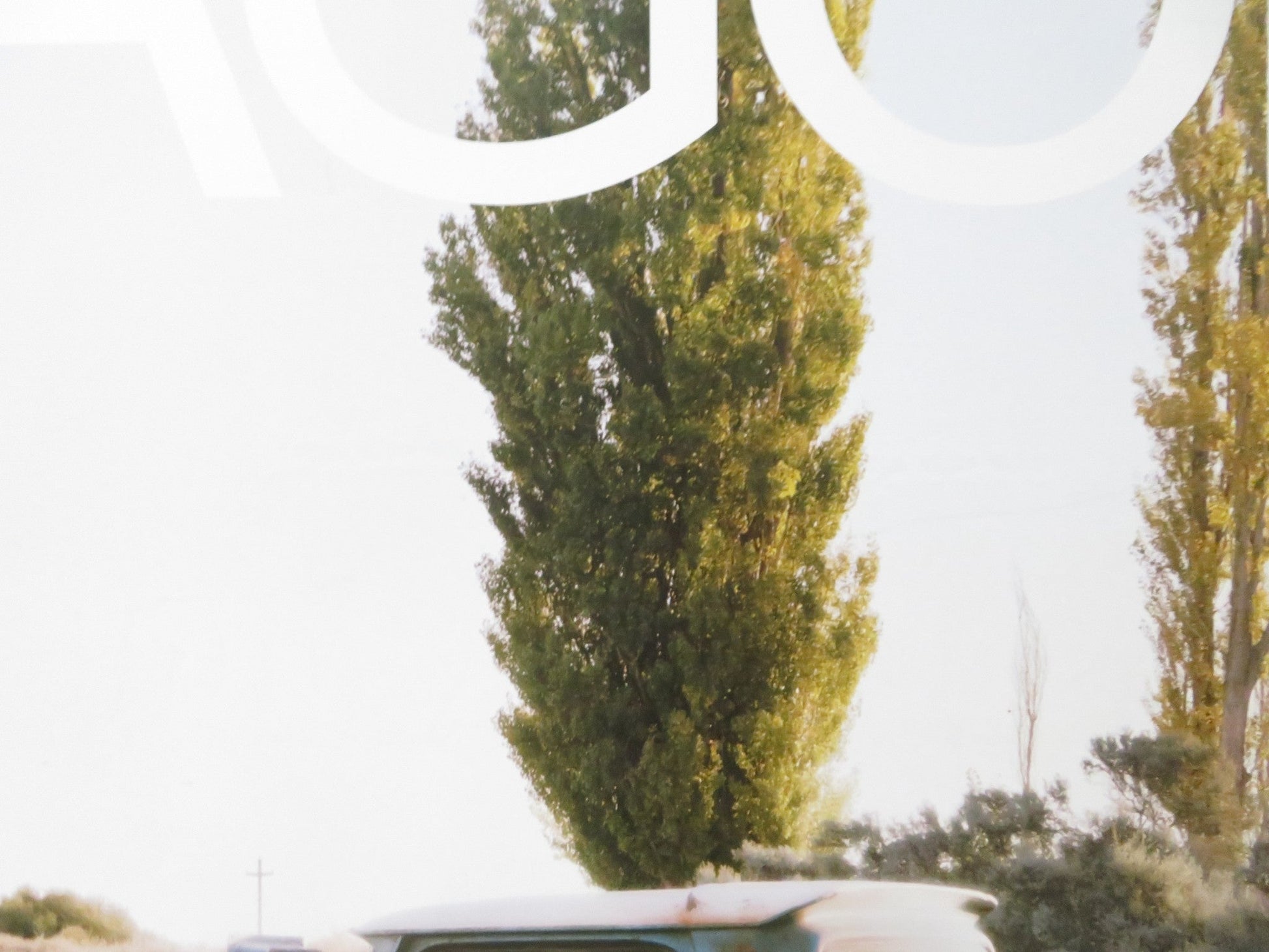 PATAGONIA UK QUAD (30"x 40") ROLLED POSTER MATTHEW RHYS MARTA LUBOS 2010 Rendezvous Cinema Movie posters