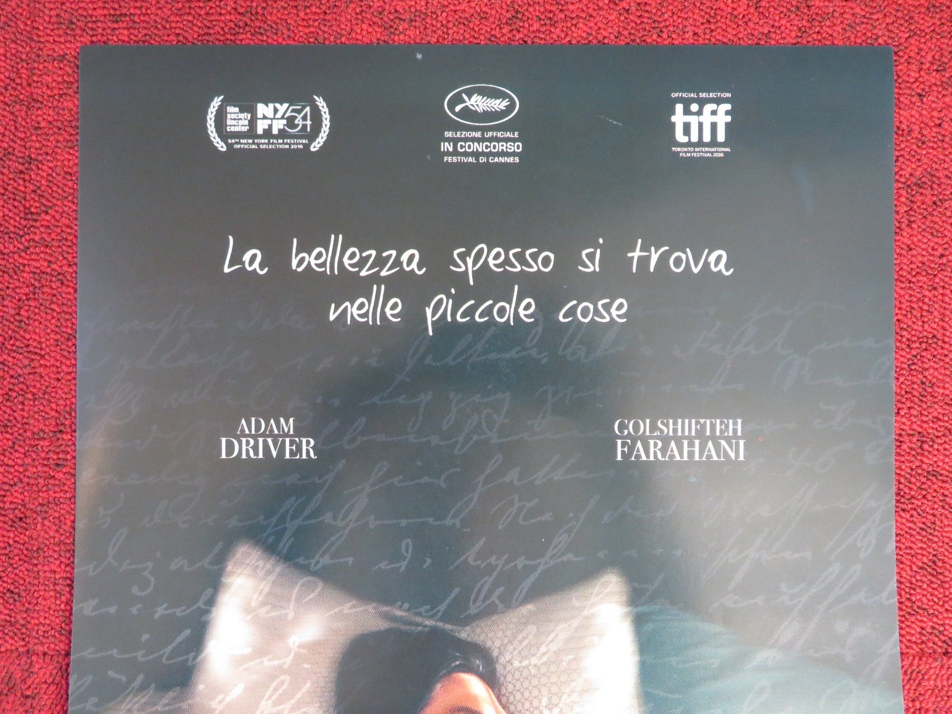 PATERSON ITALIAN LOCANDINA POSTER ADAM DRIVER GOLSHIFTEH FARAHANI 2016 Rendezvous Cinema Movie posters