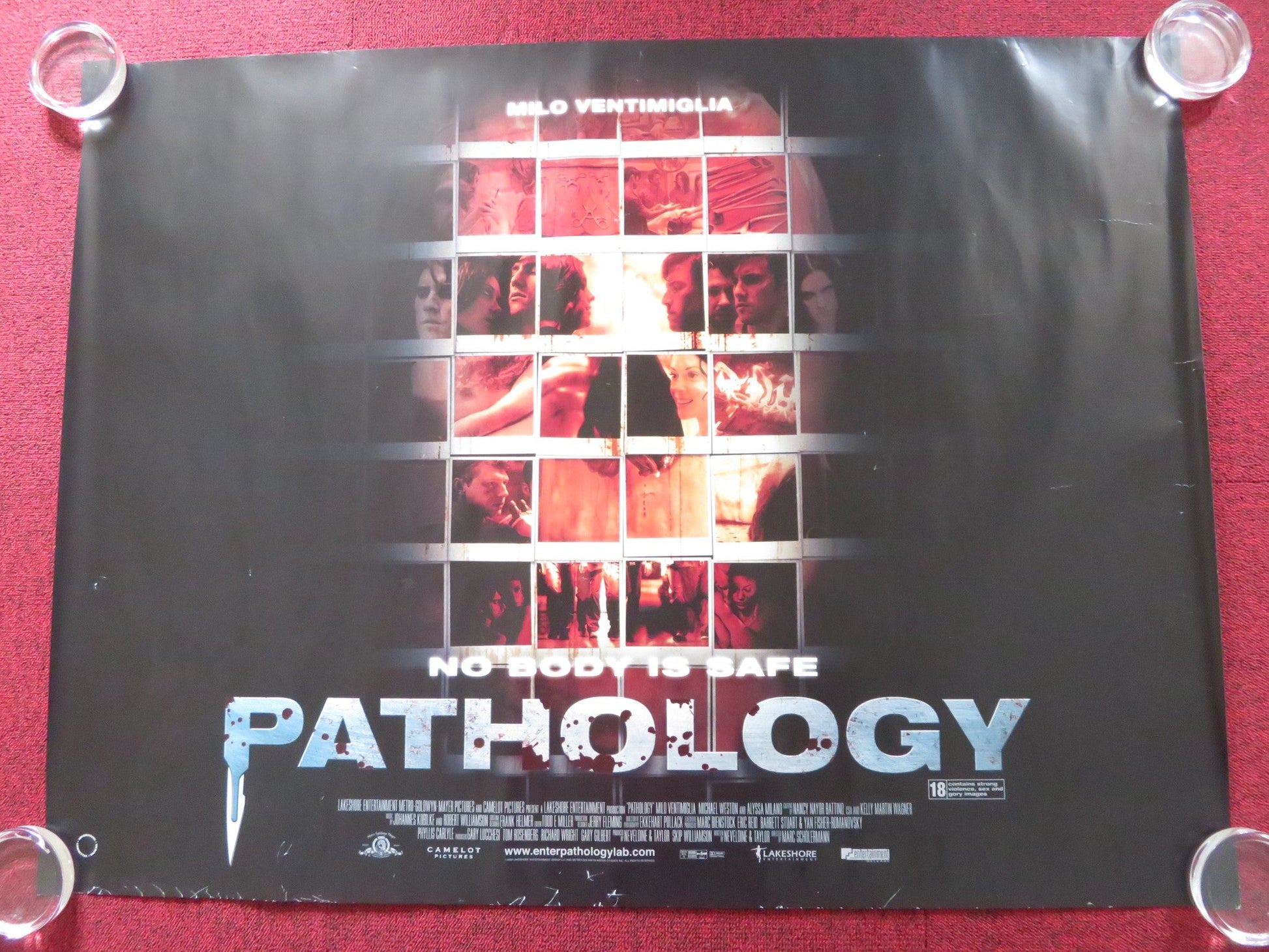 PATHOLOGY UK QUAD ROLLED POSTER MILO VENTIMIGLIA MICHAEL WESTON 2008 Rendezvous Cinema Movie posters