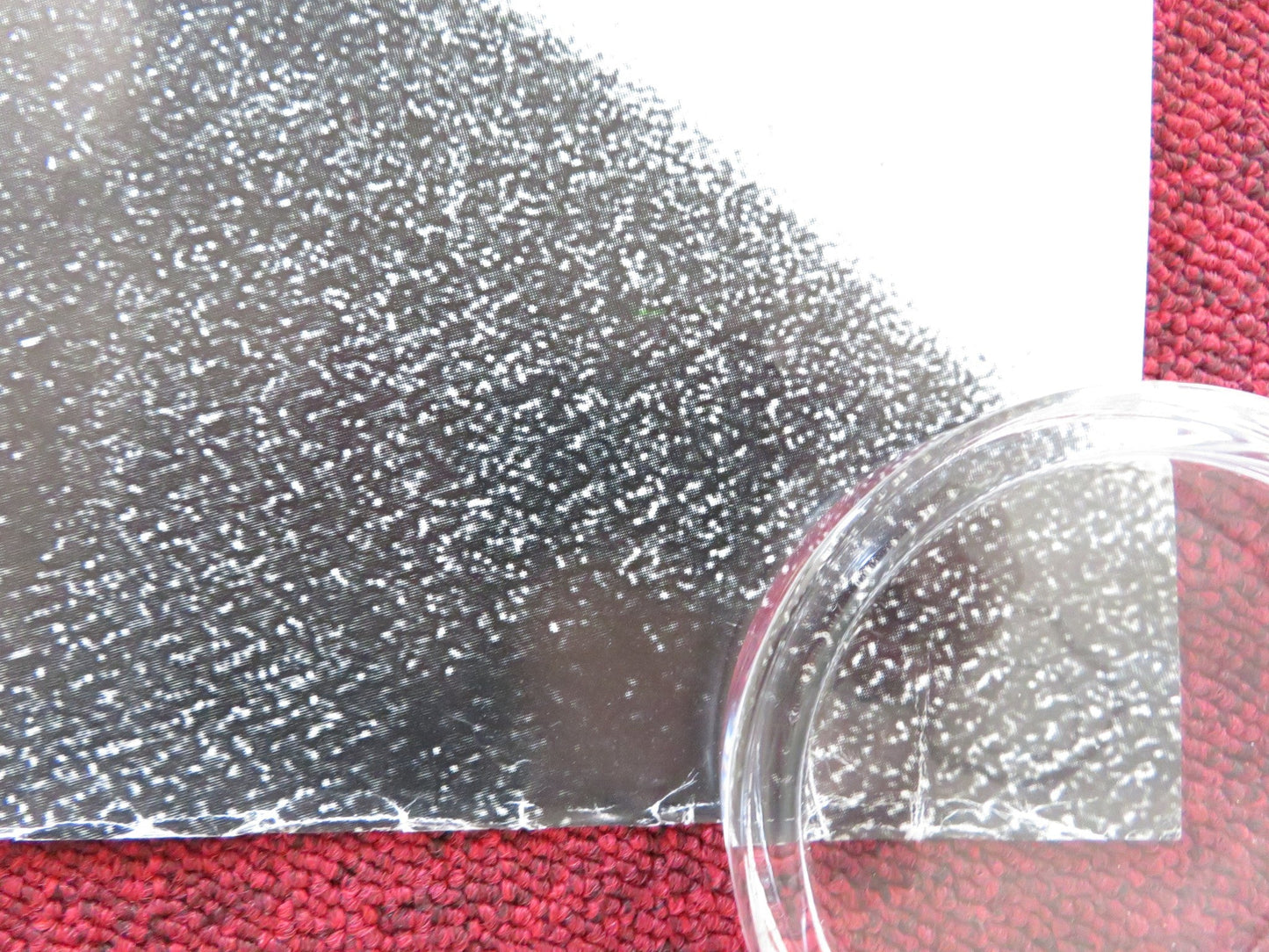 PATRIOT GAMES UK QUAD ROLLED POSTER HARRISON FORD SEAN BEAN 1992 Rendezvous Cinema Movie posters