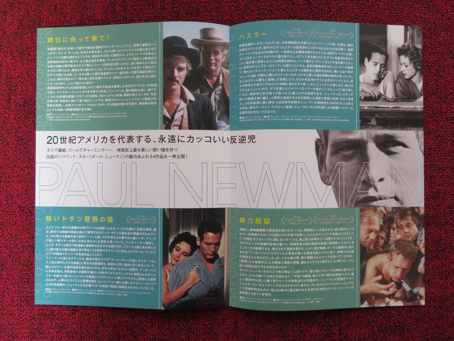 PAUL NEWMAN: THEATRE CLASSICS: COOL HAND LUKE JAPANESE CHIRASHI (B5) POSTER 2022 Rendezvous Cinema Movie posters