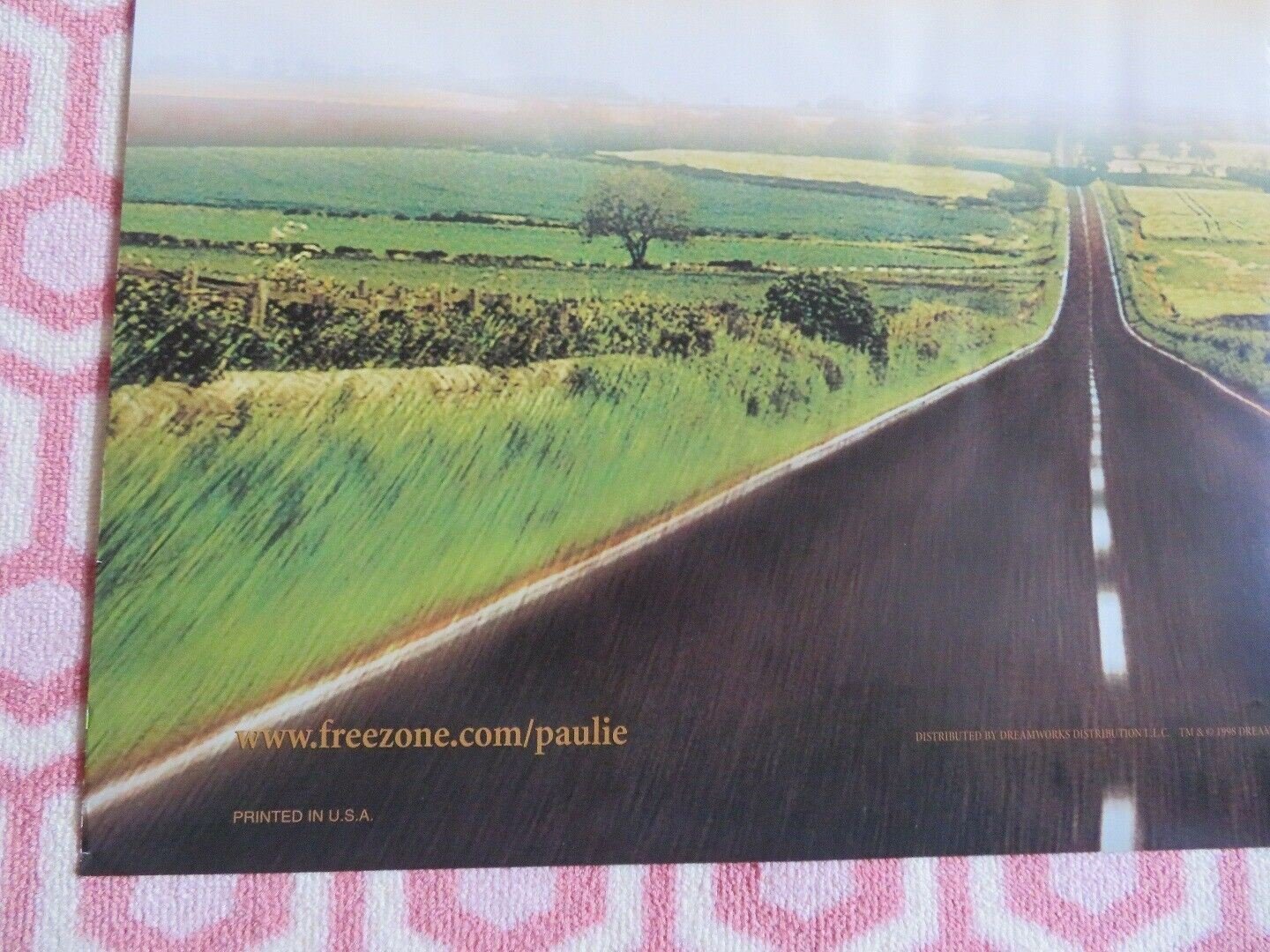 PAULIE US ONE SHEET ROLLED POSTER DREAMWORKS 1998 Movie posters