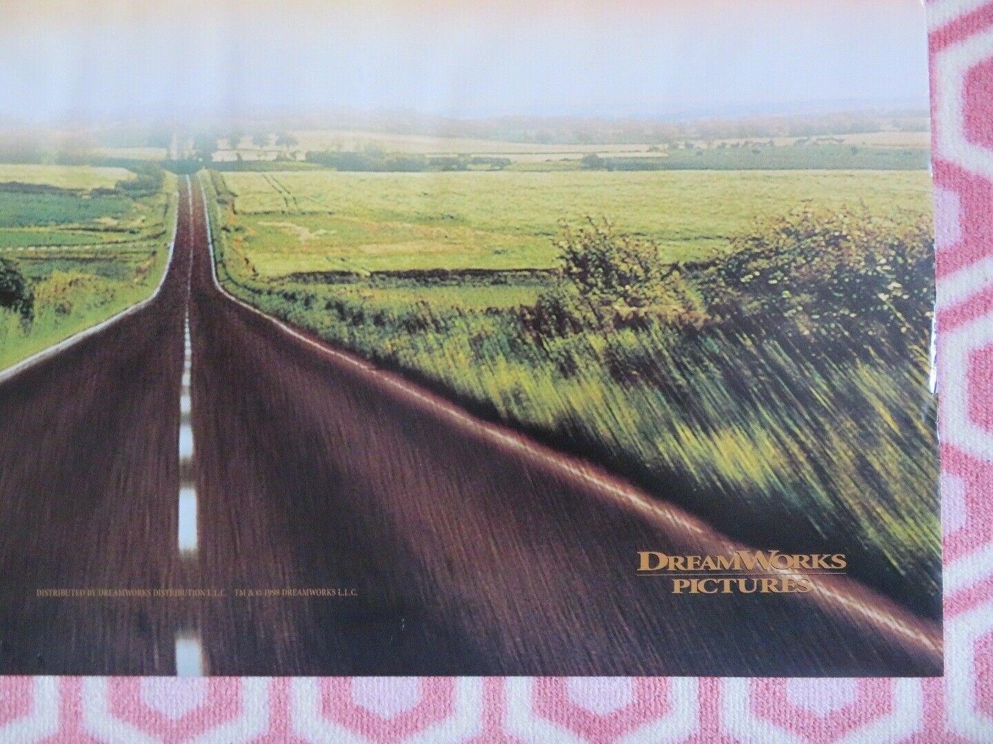 PAULIE US ONE SHEET ROLLED POSTER DREAMWORKS 1998 Movie posters