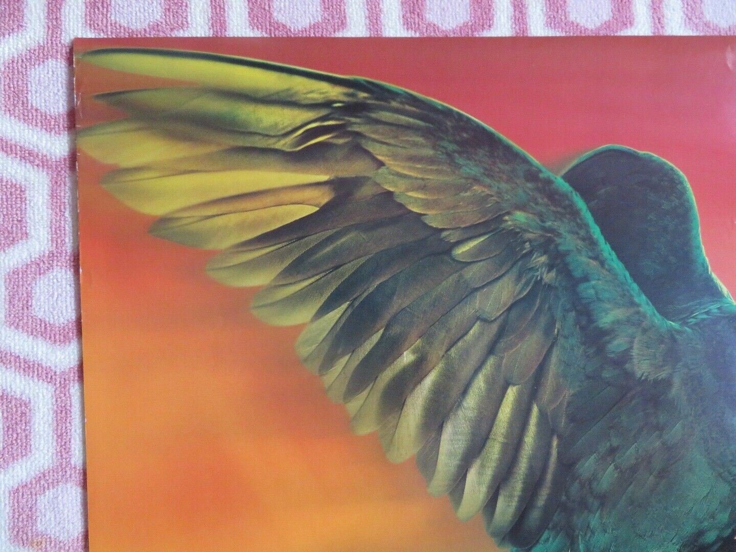 PAULIE US ONE SHEET ROLLED POSTER DREAMWORKS 1998 Movie posters