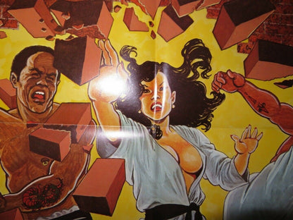 PAY OR DIE / Mean Business KUNG FU US ONE SHEET POSTER JOHNNY WILSON 1979 - Rendezvous Cinema