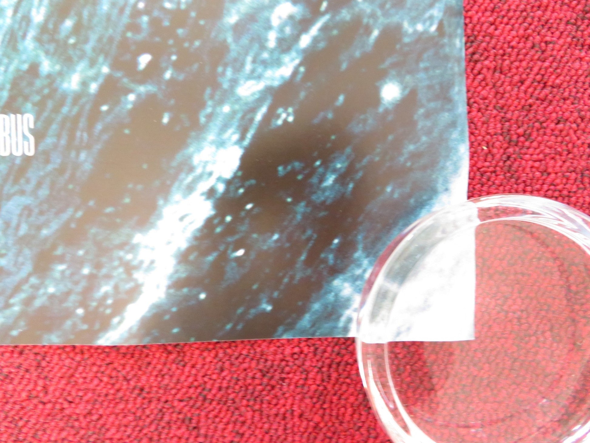 PERCY JACKSON & THE LIGHTNING THIEF UK QUAD (30"x 40") ROLLED POSTER 2010 Rendezvous Cinema Movie posters