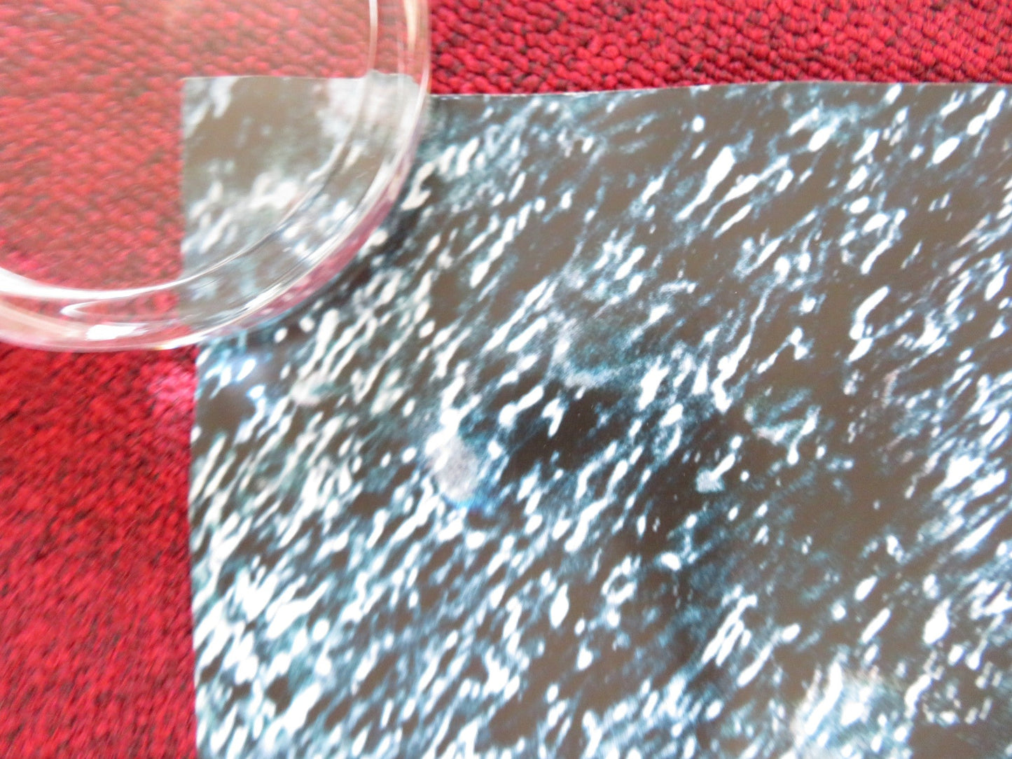 PERCY JACKSON & THE LIGHTNING THIEF UK QUAD (30"x 40") ROLLED POSTER 2010 Rendezvous Cinema Movie posters