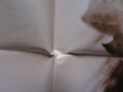 PERRI FOLDED US ONE SHEET POSTER DISNEY WINSTON HIBLER 1972 Rendezvous Cinema Movie posters