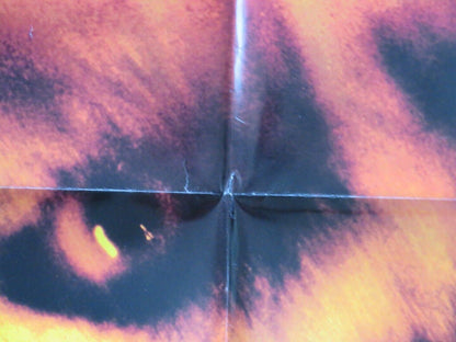 PET SEMATARY TWO FOLDED US ONE SHEET POSTER EDWARD FURLONG ANTHONY EDWARDS 1992 Movie posters