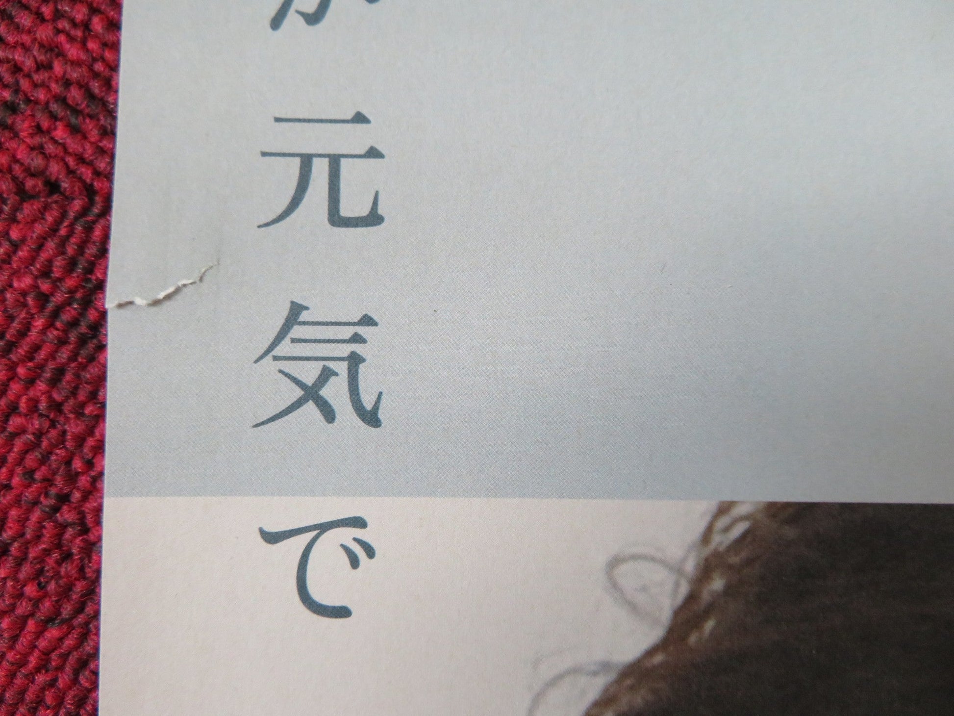 PETARU DANSU JAPANESE B2 POSTER AOI MIYAZAKI SHIOLI KUTSUNA 2013 Rendezvous Cinema Movie posters