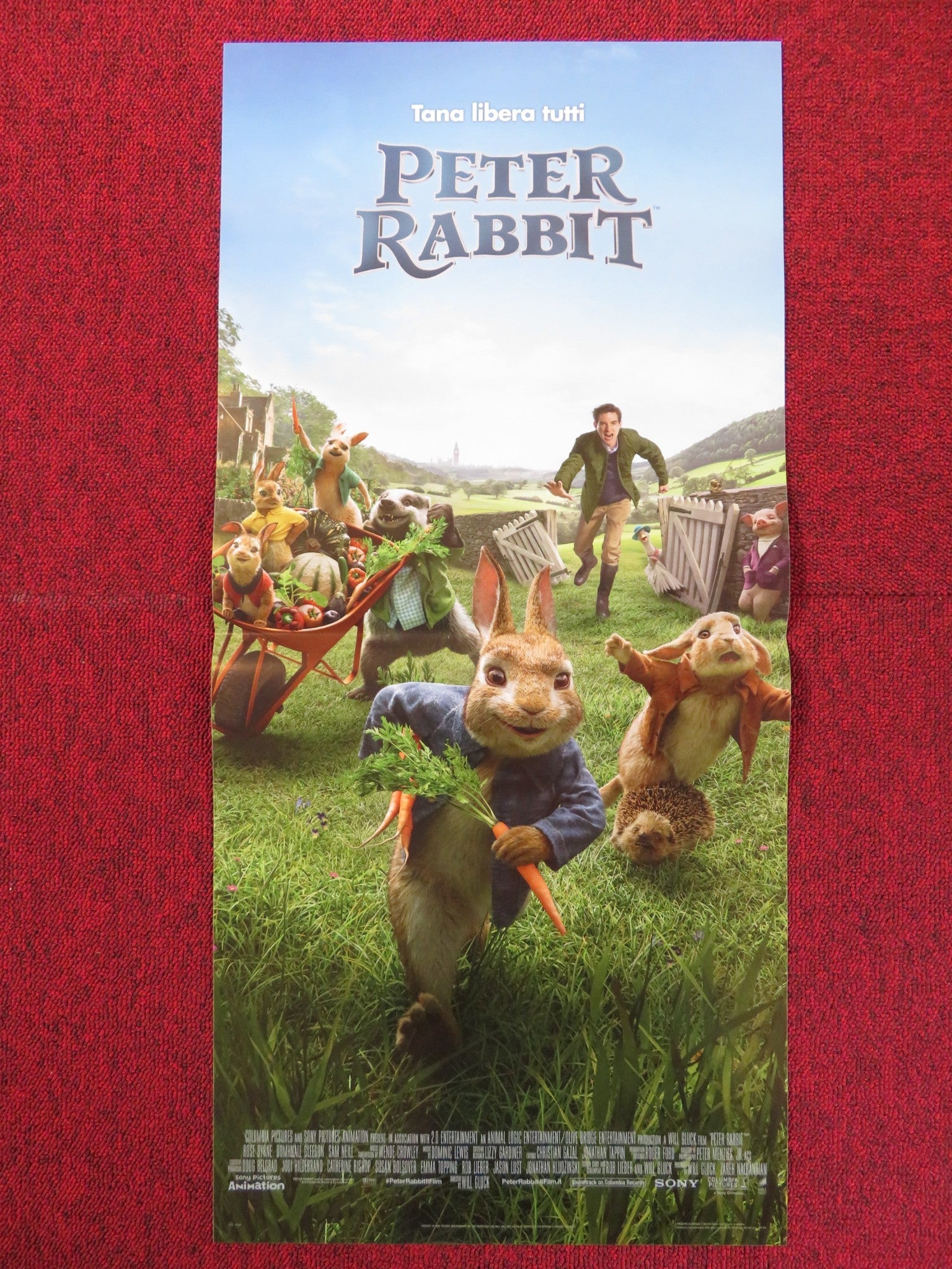 PETER RABBIT ITALIAN LOCANDINA POSTER DOMHNALL GLEESON ROS BYRNE 2018 Rendezvous Cinema Movie posters