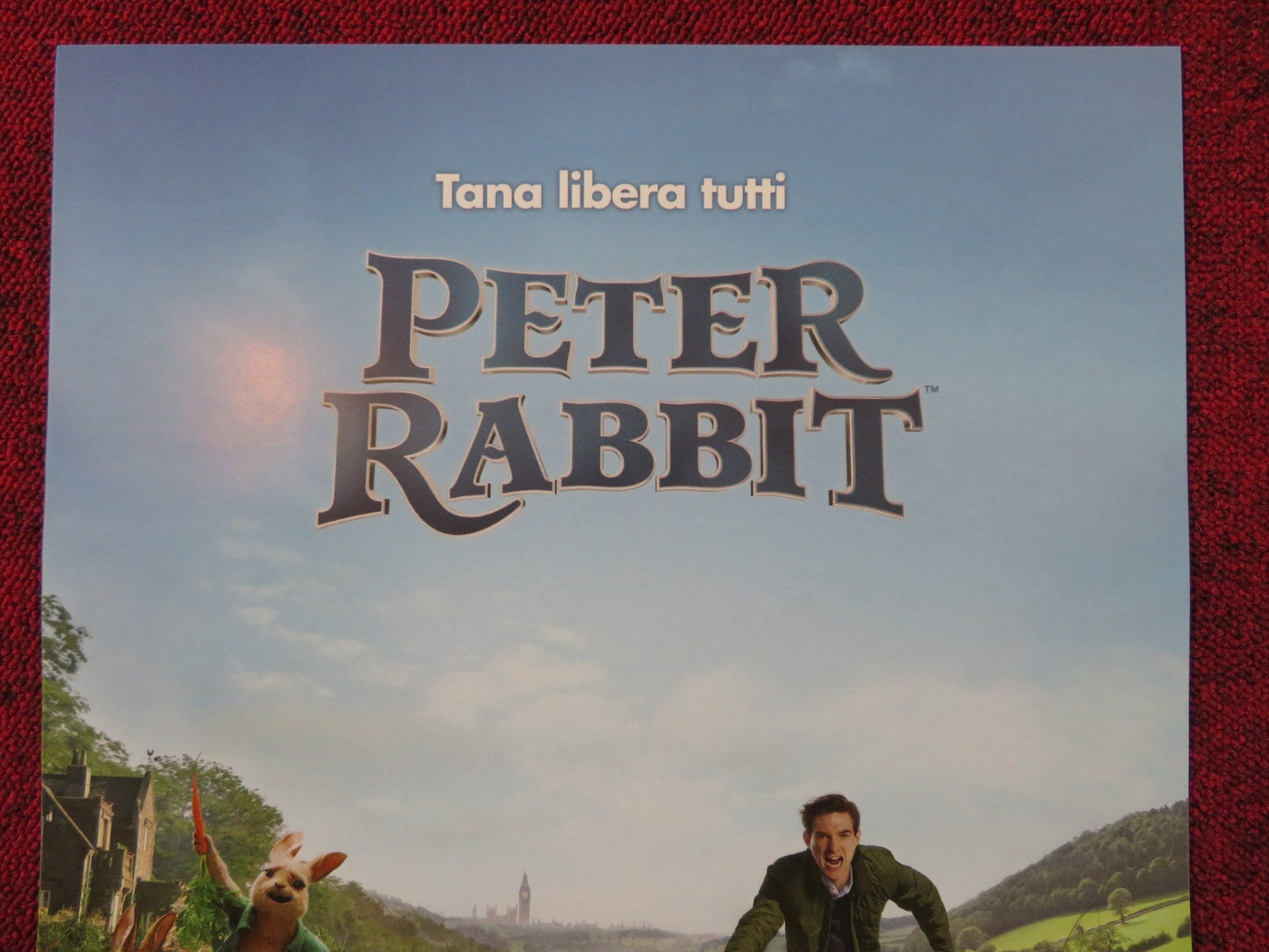 PETER RABBIT ITALIAN LOCANDINA POSTER DOMHNALL GLEESON ROS BYRNE 2018 Rendezvous Cinema Movie posters