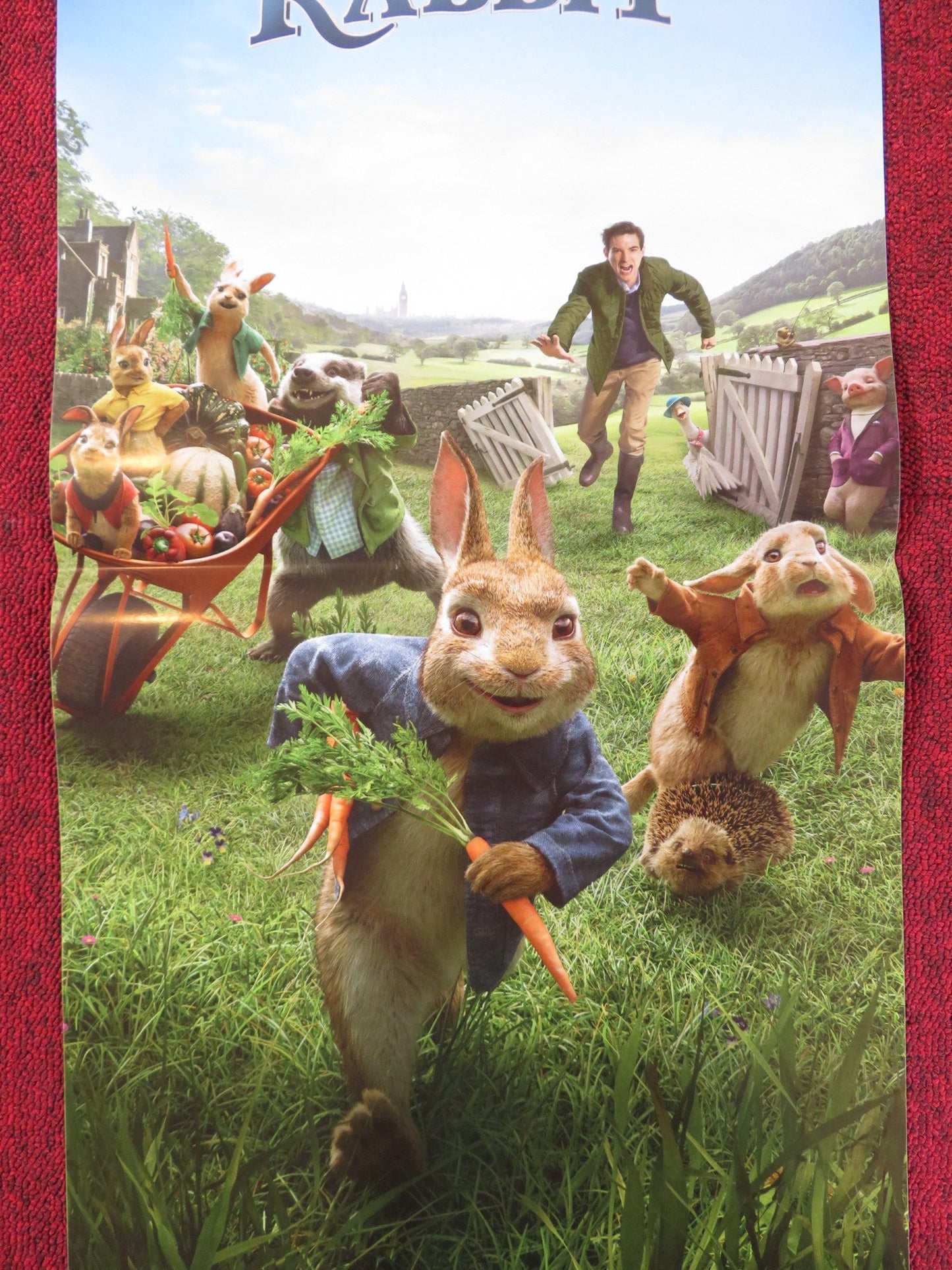 PETER RABBIT ITALIAN LOCANDINA POSTER DOMHNALL GLEESON ROS BYRNE 2018 Rendezvous Cinema Movie posters
