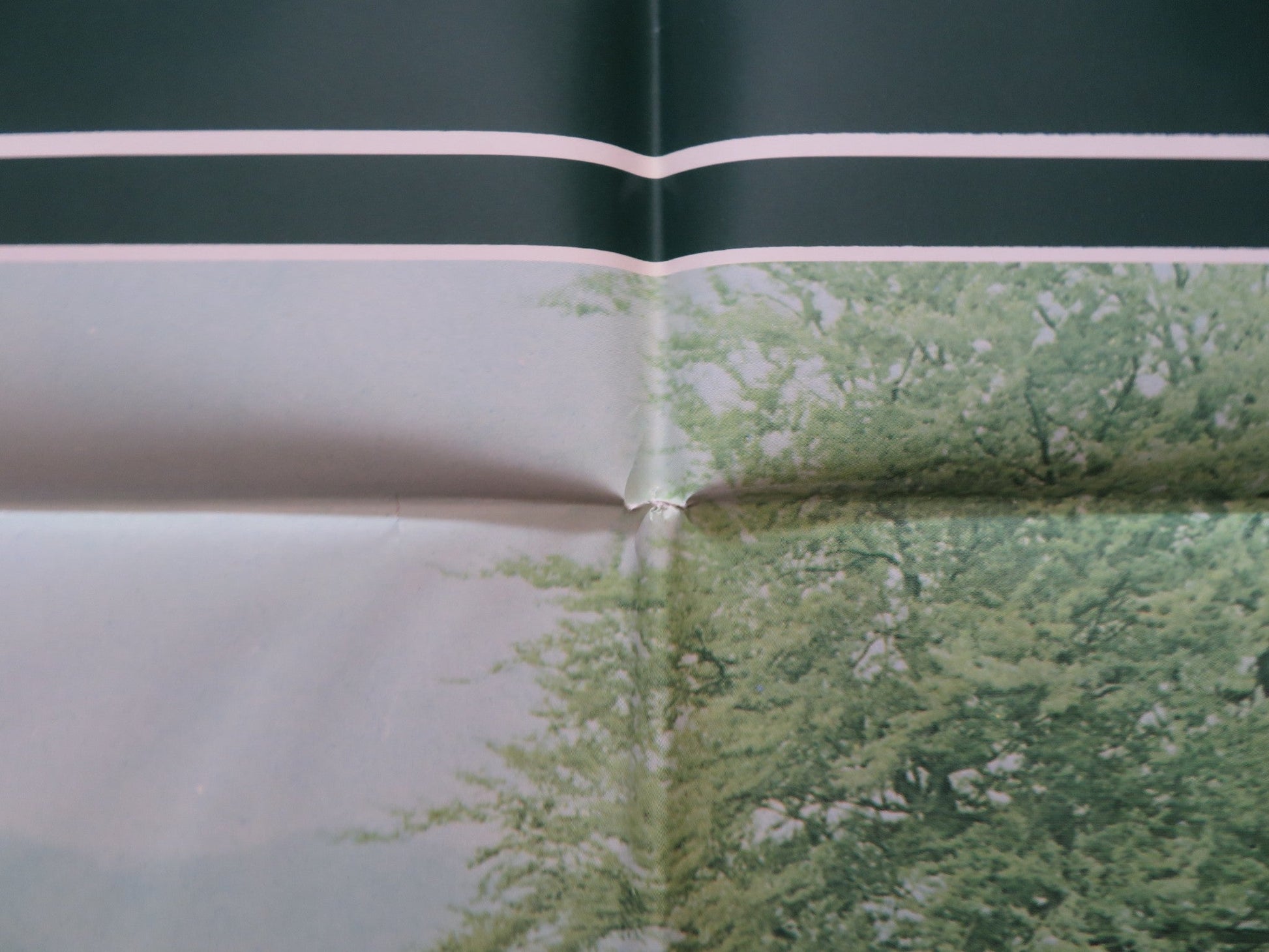 PETER RABBIT THE TALES OF BEATRIX POTTER FOLDED US ONE SHEET POSTER 1973 Rendezvous Cinema Movie posters