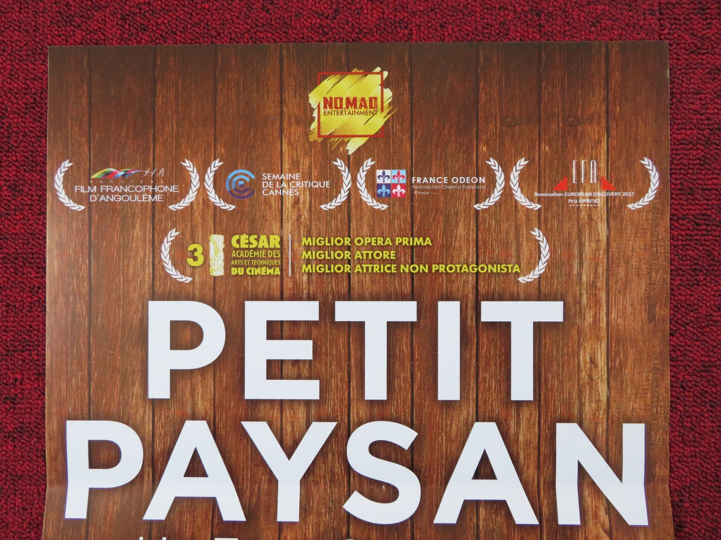 PETIT PAYSAN - B ITALIAN LOCANDINA POSTER SWANN ARLAUD SARA GIRAUDEAU 2017 Rendezvous Cinema Movie posters