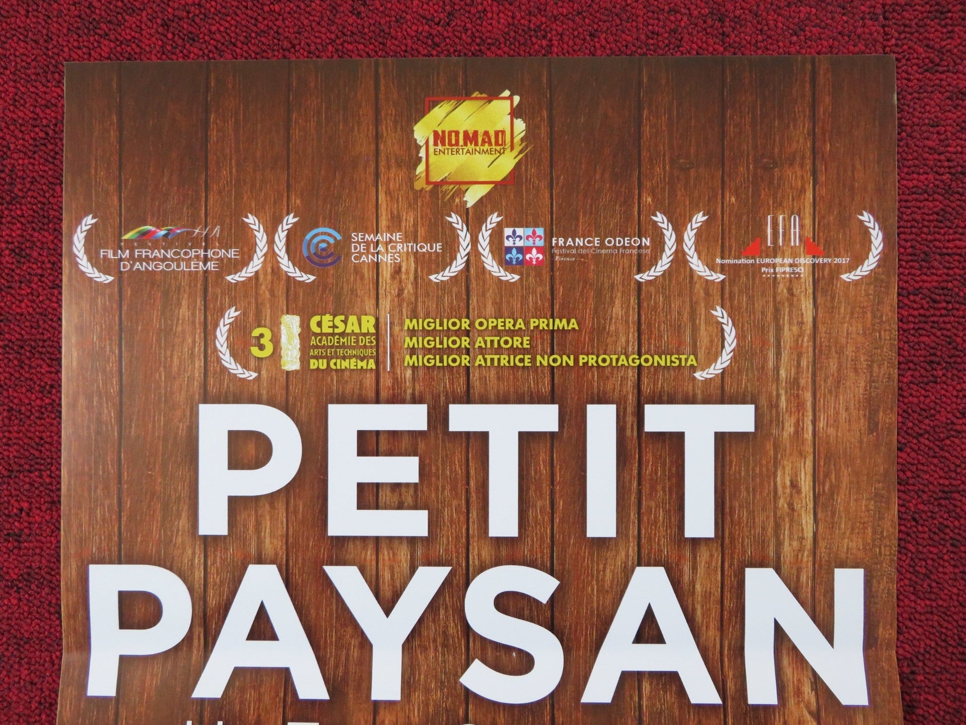 PETIT PAYSAN - B ITALIAN LOCANDINA POSTER SWANN ARLAUD SARA GIRAUDEAU 2017 Rendezvous Cinema Movie posters