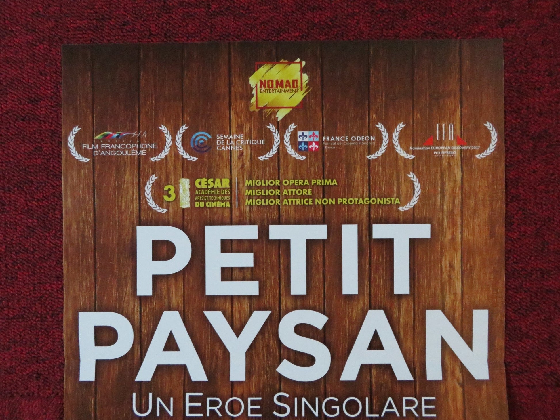 PETIT PAYSAN ITALIAN LOCANDINA POSTER SWANN ARLAUD SARA GIRAUDEAU 2017 Rendezvous Cinema Movie posters