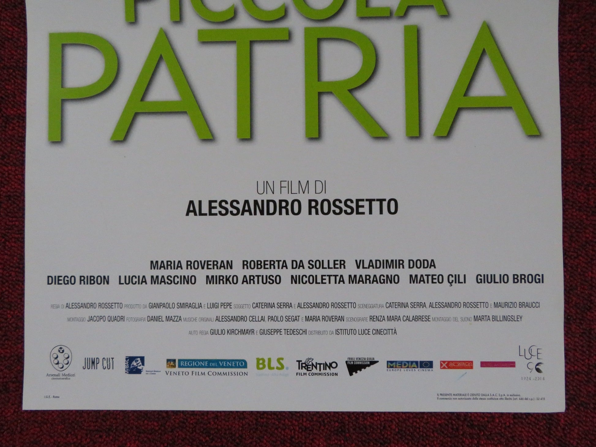 PICCOLA PATRIA ITALIAN LOCANDINA POSTER MARIA ROVERAN ROBERTA DA SOLLER 2013 Rendezvous Cinema Movie posters