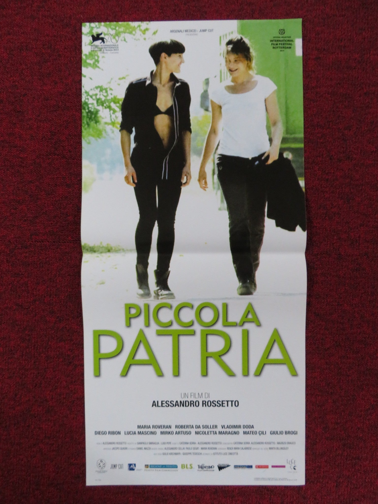 PICCOLA PATRIA ITALIAN LOCANDINA POSTER MARIA ROVERAN ROBERTA DA SOLLER 2013 Rendezvous Cinema Movie posters