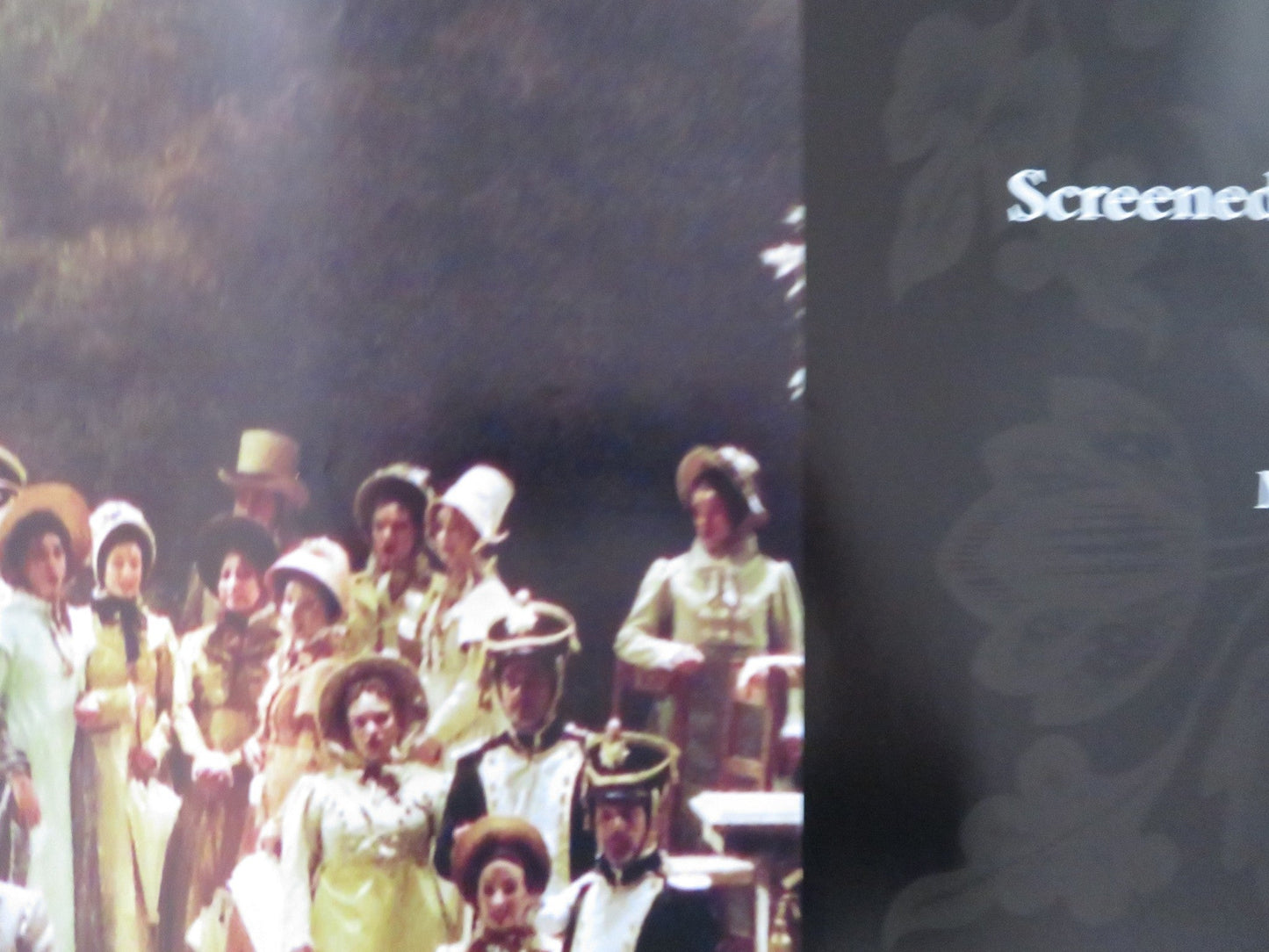 PIKOVAYA DAMA UK QUAD (30"x 40") ROLLED POSTER MICHAEL BODER EMILY MAGEE 2011 Rendezvous Cinema Movie posters