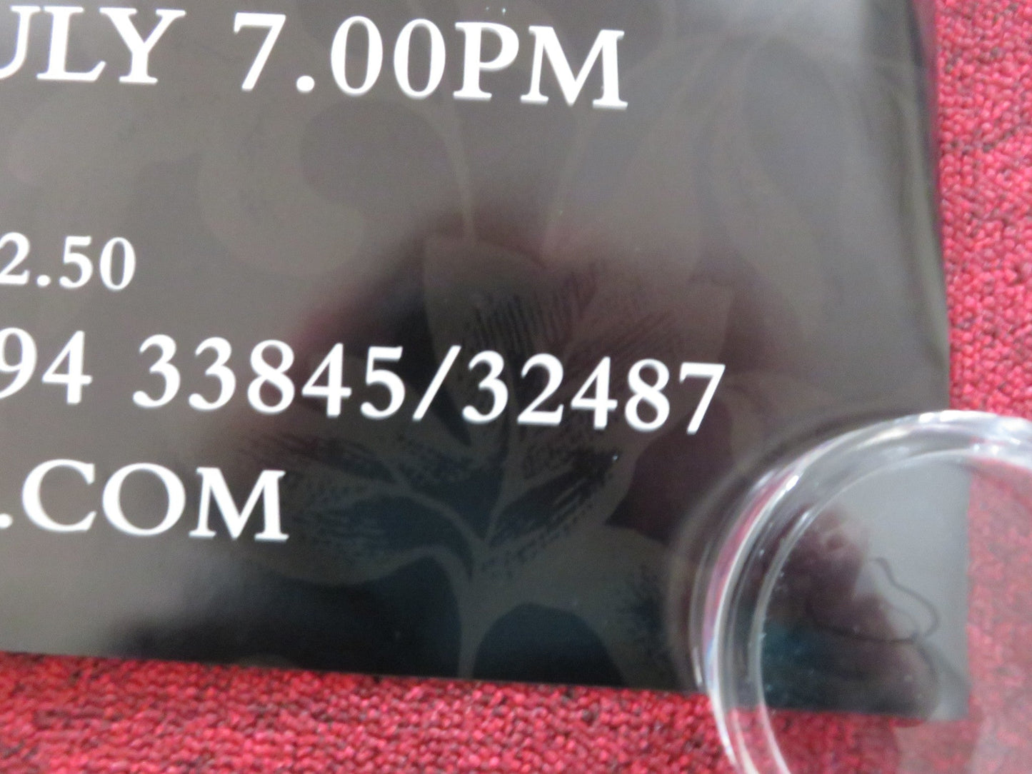 PIKOVAYA DAMA UK QUAD (30"x 40") ROLLED POSTER MICHAEL BODER EMILY MAGEE 2011 Rendezvous Cinema Movie posters