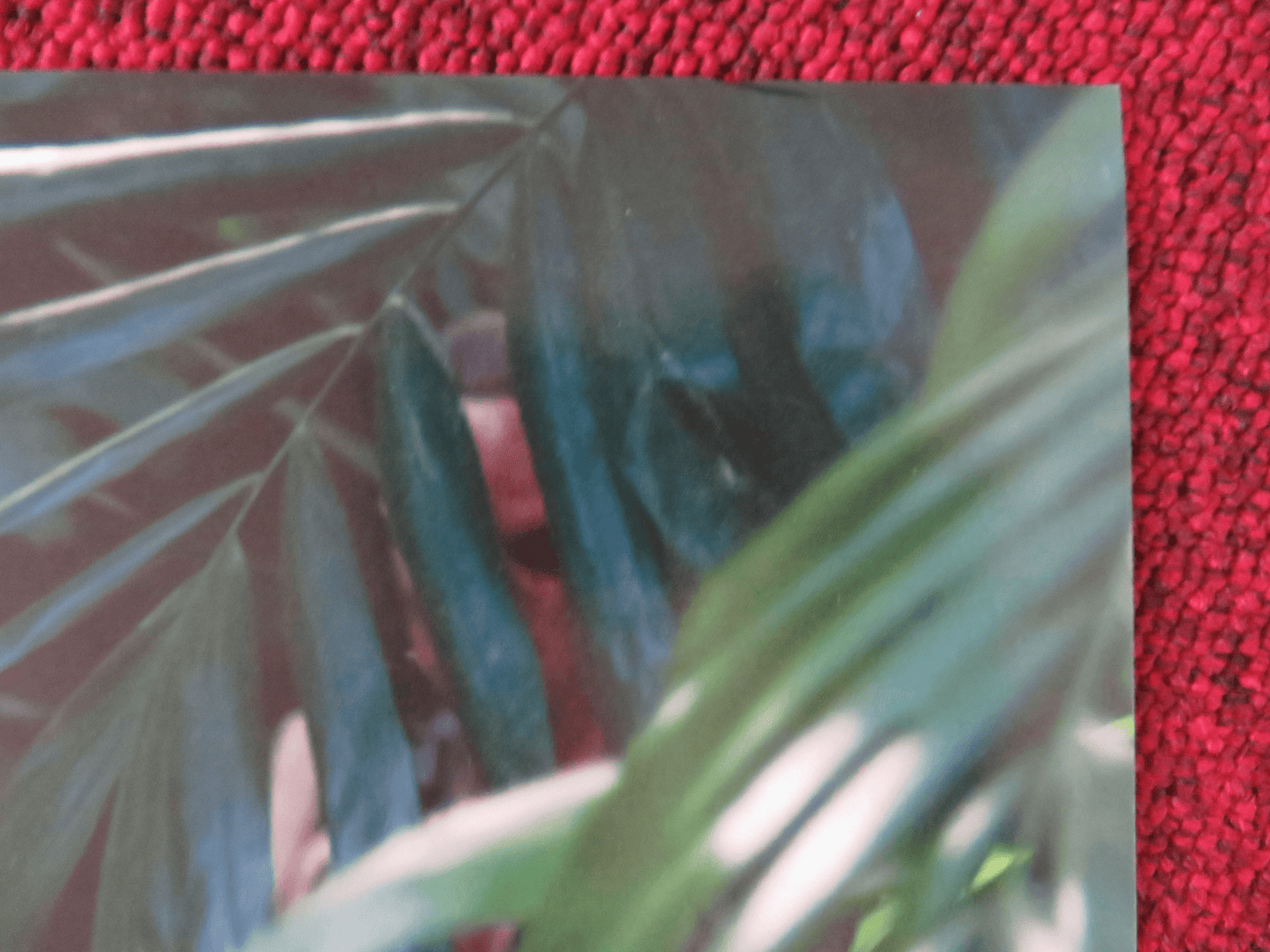 PIRATES OF THE CARIBBEAN: ON STRANGER TIDES ITALIAN FOTOBUSTA POSTER 2011 Rendezvous Cinema Movie posters