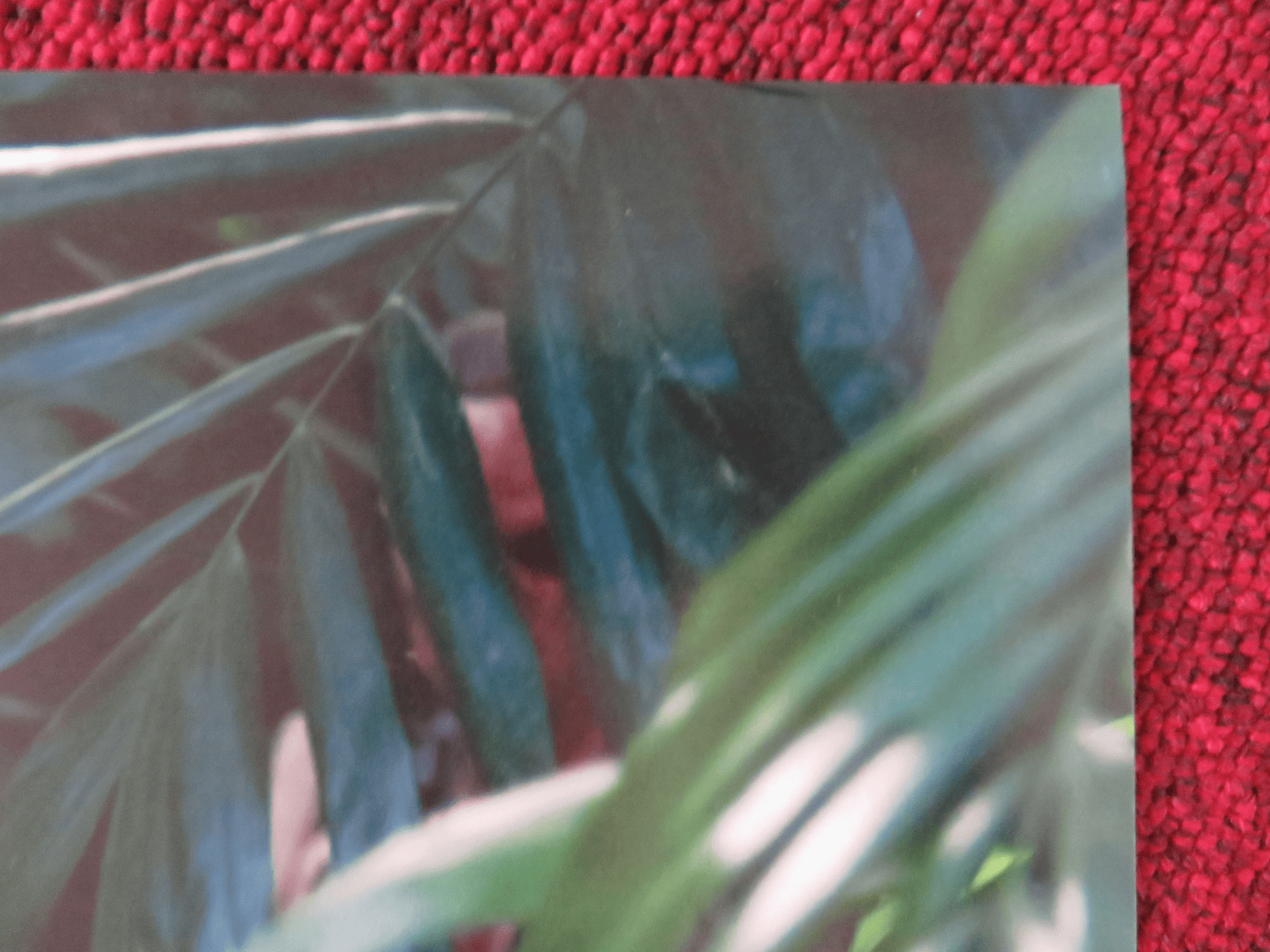 PIRATES OF THE CARIBBEAN: ON STRANGER TIDES ITALIAN FOTOBUSTA POSTER 2011 Rendezvous Cinema Movie posters