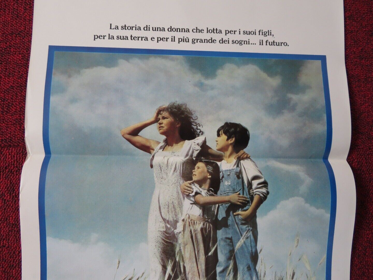 PLACES IN THE HEART ITALIAN LOCANDINA (27.5"x13") POSTER S FIELD ED HARRIS '84 Movie posters