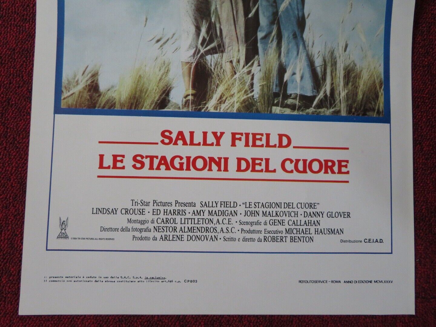 PLACES IN THE HEART ITALIAN LOCANDINA (27.5"x13") POSTER S FIELD ED HARRIS '84 Movie posters