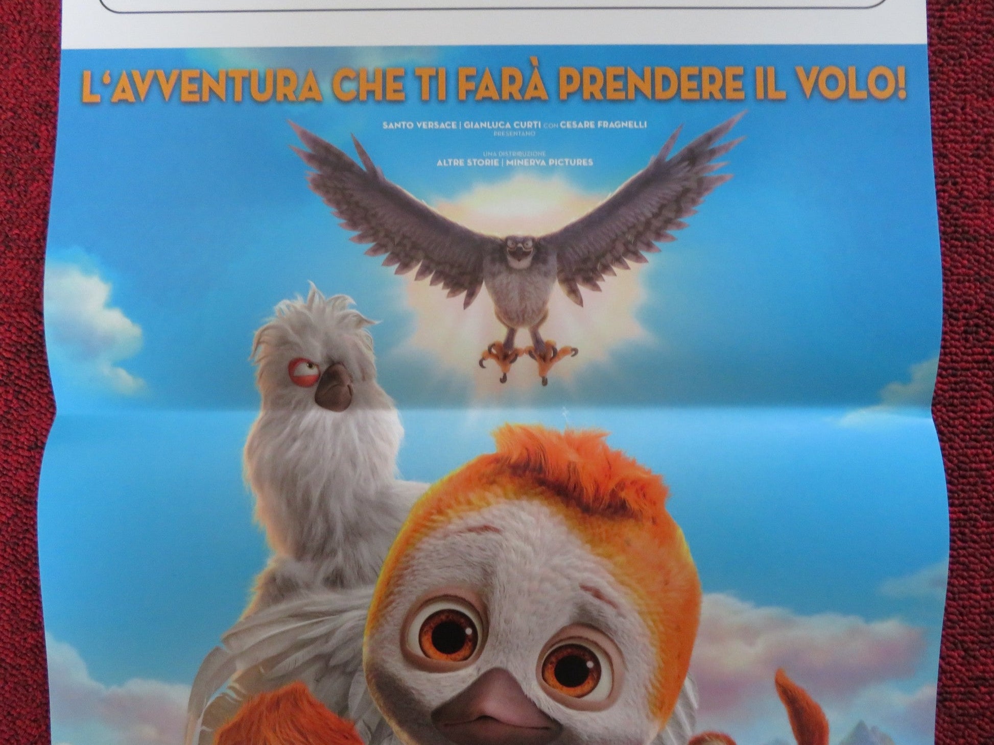 PLOI / PLOEY ITALIAN LOCANDINA POSTER JAMIE ORAM HARRIET PERRING 2018 Rendezvous Cinema Movie posters