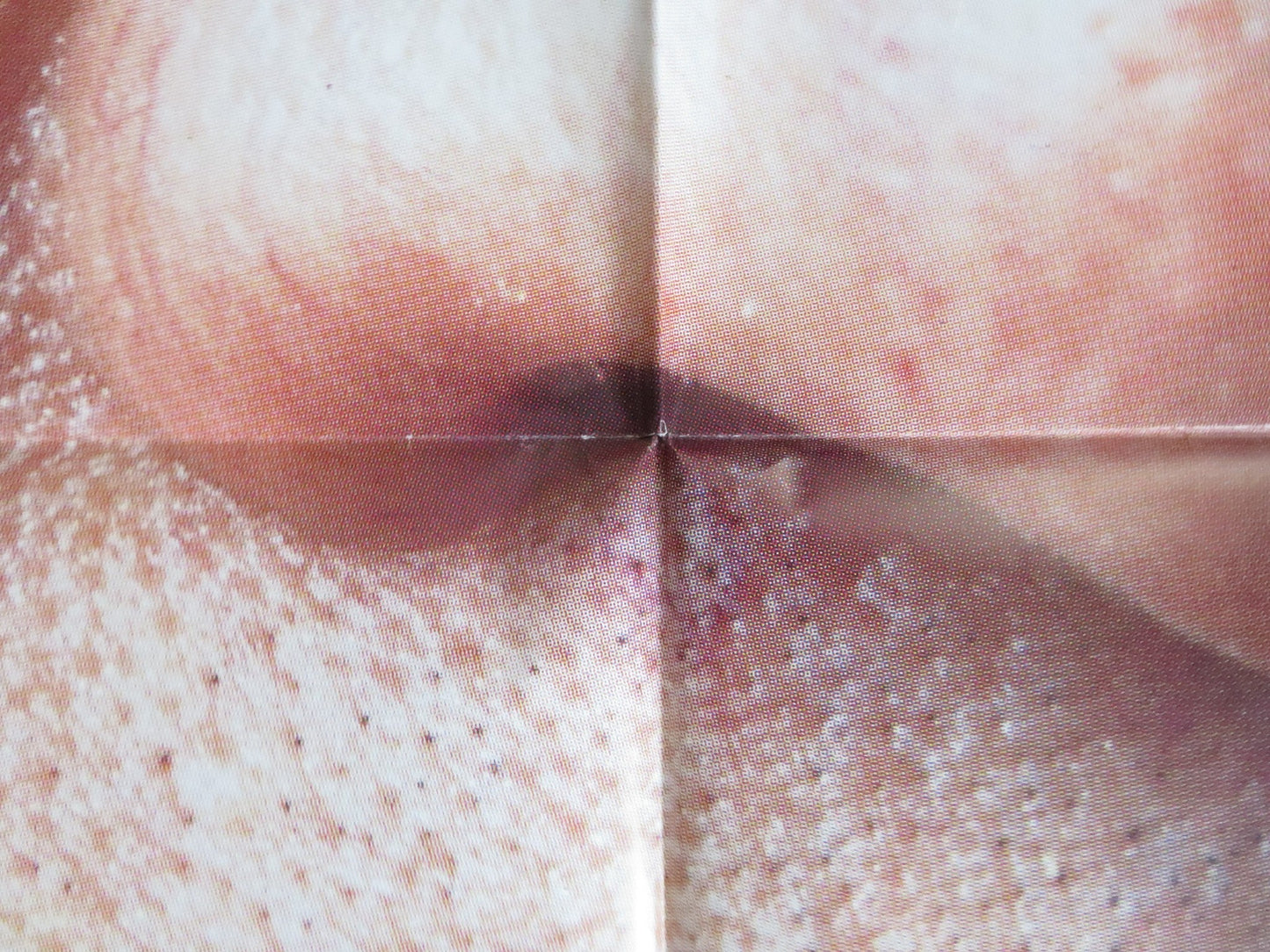 P.O BOX TINTO BRASS ITALIAN 2 FOGLIO POSTER TINTO BRASS CINZIA ROCCAFORTE 1995 Rendezvous Cinema Movie posters