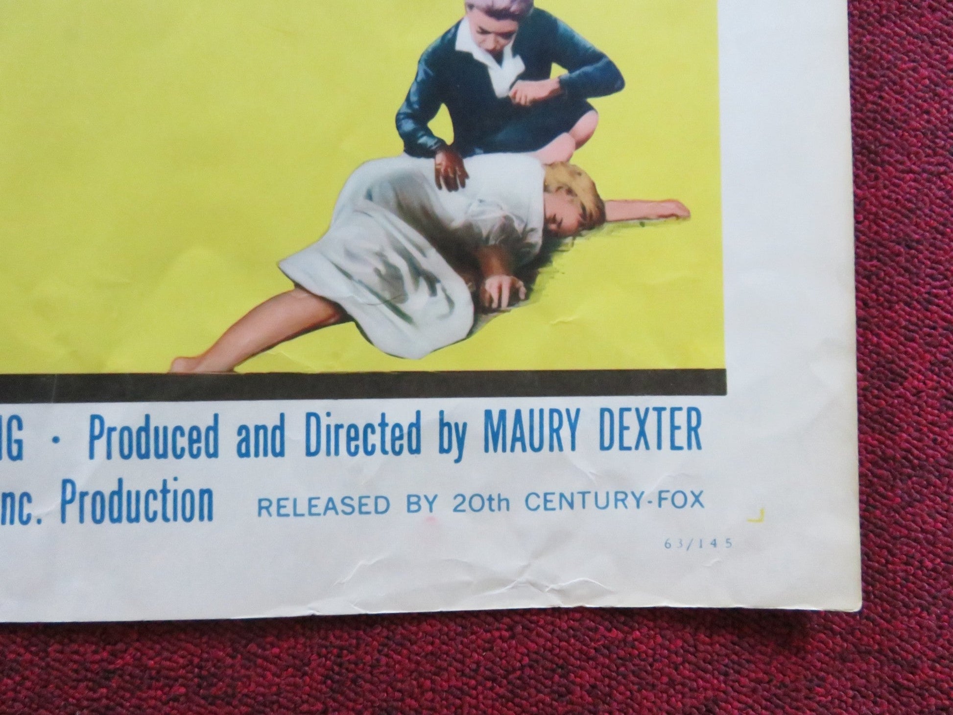 POLICE NURSE HALF SHEET (22"x 28") POSTER KEN SCOTT MERRY ANDERS 1963 Rendezvous Cinema Movie posters