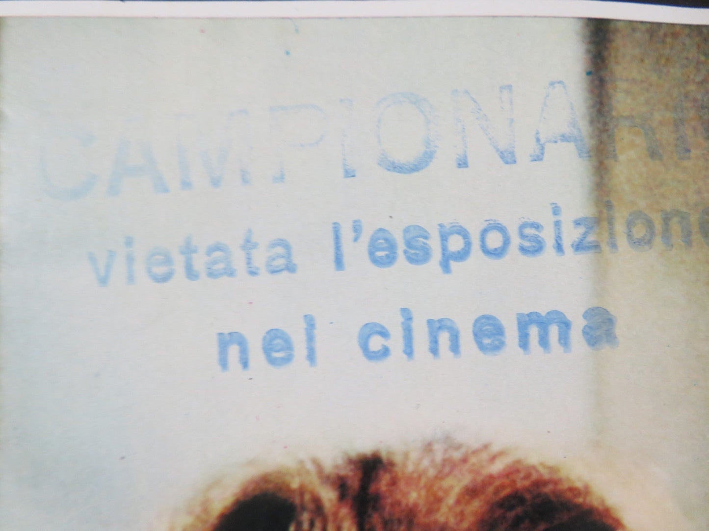 POLTERGEIST - A ITALIAN FOTOBUSTA POSTER SPIELBERG CRAIG T. NELSON 1982 Rendezvous Cinema Movie posters