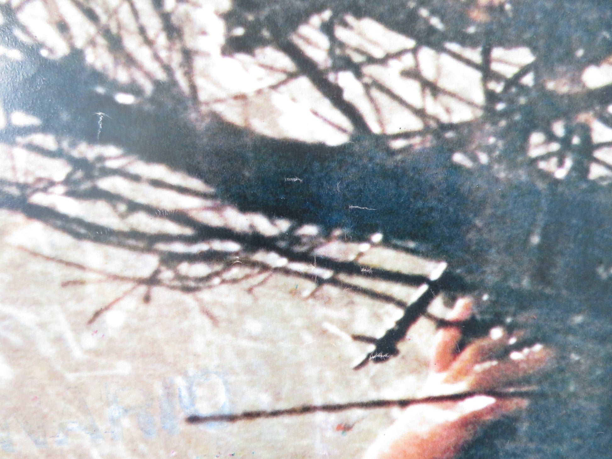 POLTERGEIST - B ITALIAN FOTOBUSTA POSTER SPIELBERG CRAIG T. NELSON 1982 Rendezvous Cinema Movie posters