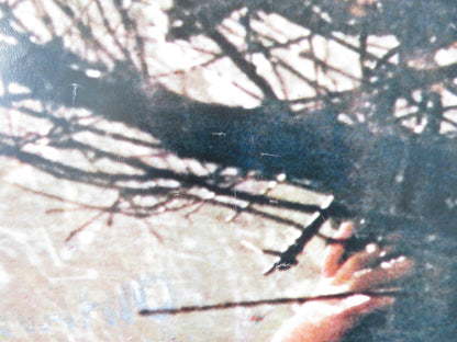 POLTERGEIST - B ITALIAN FOTOBUSTA POSTER SPIELBERG CRAIG T. NELSON 1982 Rendezvous Cinema Movie posters