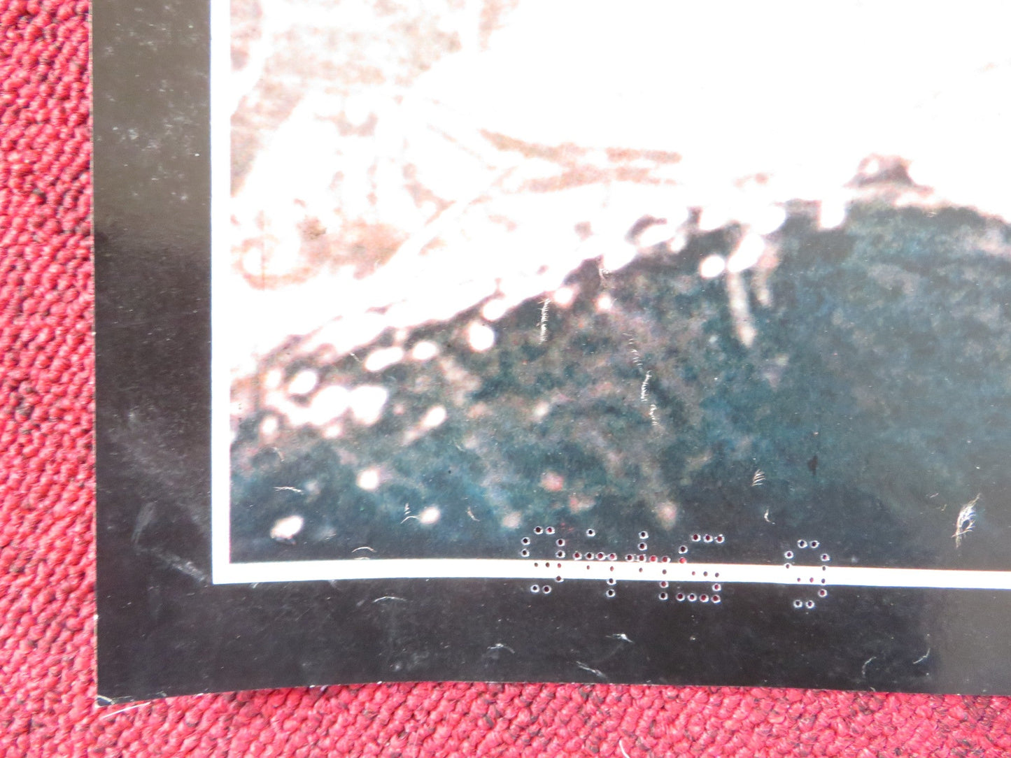 POLTERGEIST - B ITALIAN FOTOBUSTA POSTER SPIELBERG CRAIG T. NELSON 1982 Rendezvous Cinema Movie posters