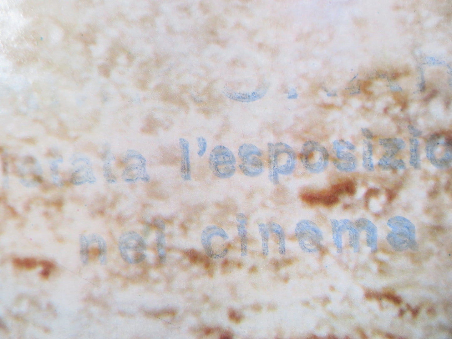 POLTERGEIST - C ITALIAN FOTOBUSTA POSTER SPIELBERG CRAIG T. NELSON 1982 Rendezvous Cinema Movie posters