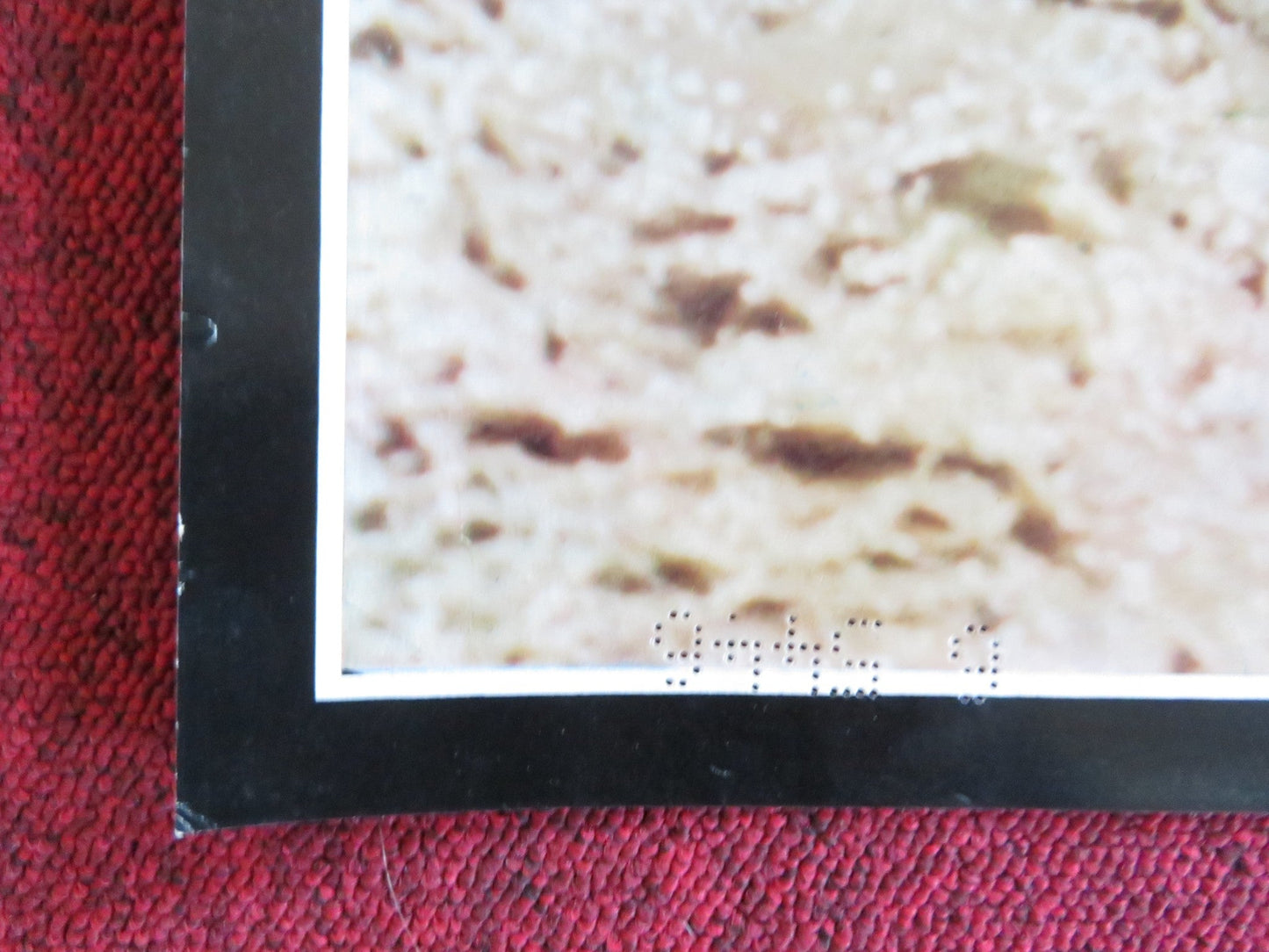 POLTERGEIST - C ITALIAN FOTOBUSTA POSTER SPIELBERG CRAIG T. NELSON 1982 Rendezvous Cinema Movie posters