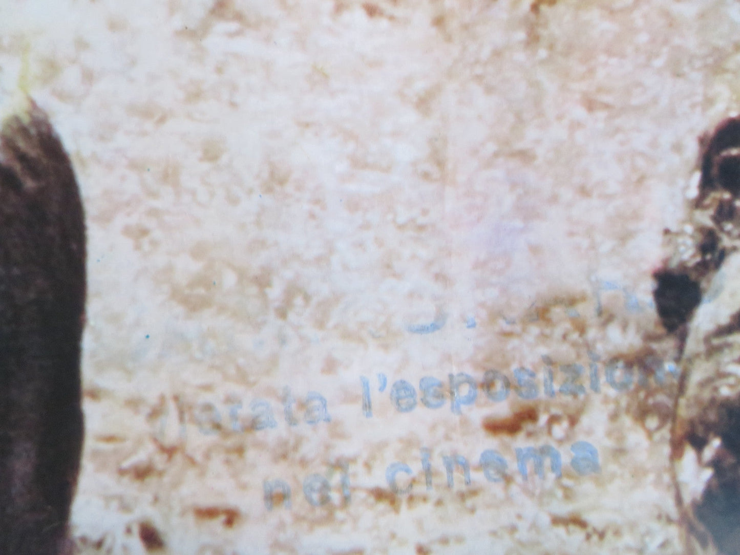 POLTERGEIST - C ITALIAN FOTOBUSTA POSTER SPIELBERG CRAIG T. NELSON 1982 Rendezvous Cinema Movie posters