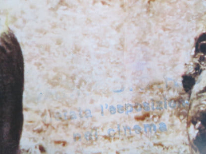 POLTERGEIST - C ITALIAN FOTOBUSTA POSTER SPIELBERG CRAIG T. NELSON 1982 Rendezvous Cinema Movie posters