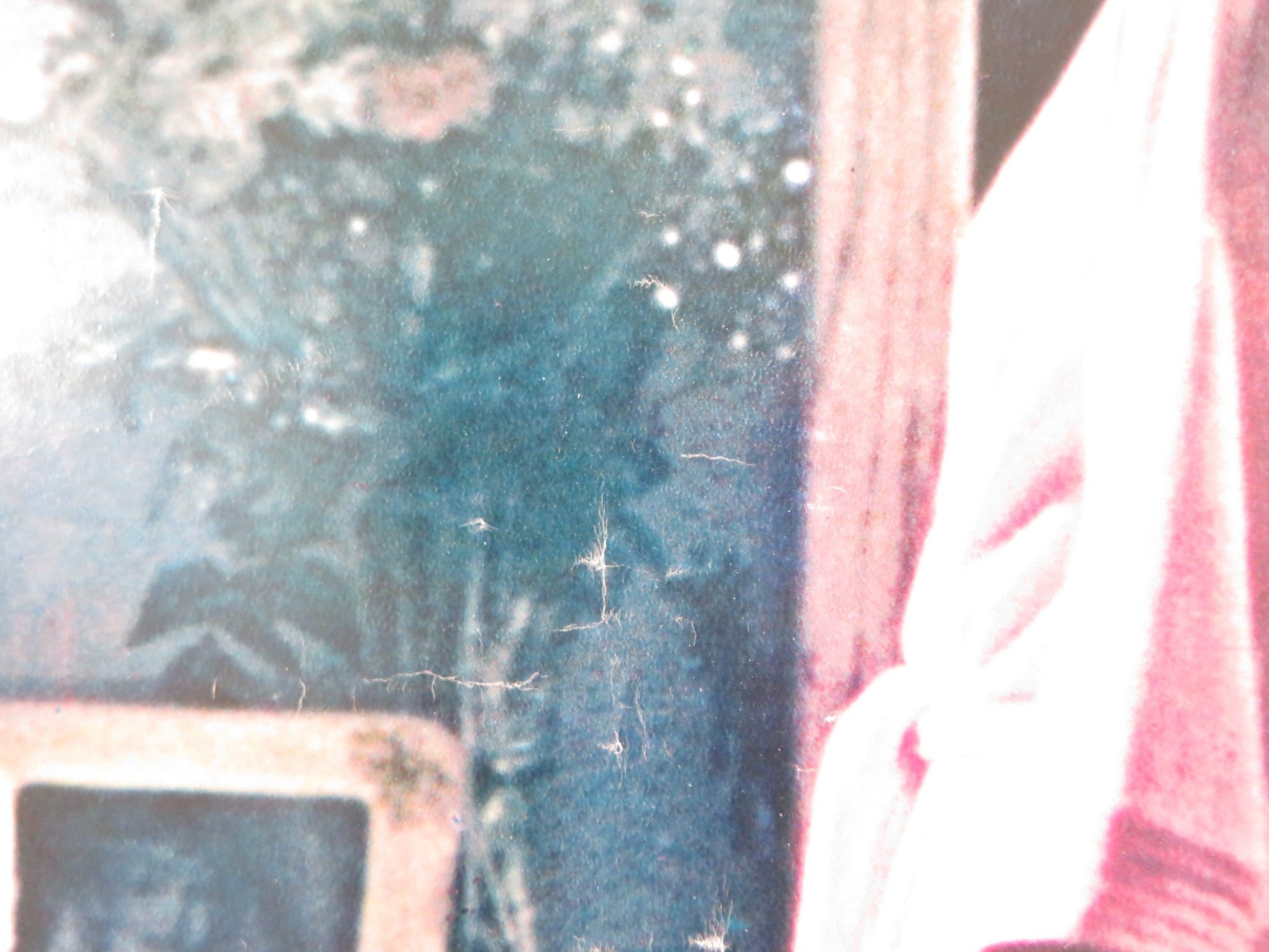 POLTERGEIST - H ITALIAN FOTOBUSTA POSTER SPIELBERG CRAIG T. NELSON 1982 Rendezvous Cinema Movie posters