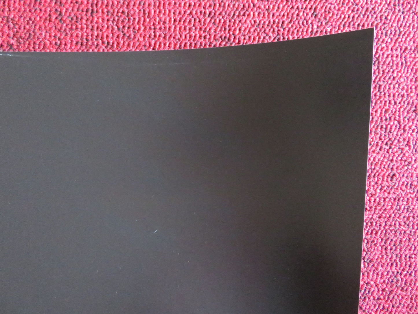 POLTERGEIST UK QUAD (30"x 40") ROLLED POSTER SAM ROCKWELL ROSEMARIE DEWITT 2015 Rendezvous Cinema Movie posters