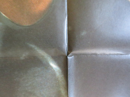 POP LEMON / LEMON POPSICLE 2 ITALIAN 2 FOGLIO POSTER YFTACH KATZUR A.ATZMON 1978 Rendezvous Cinema Movie posters